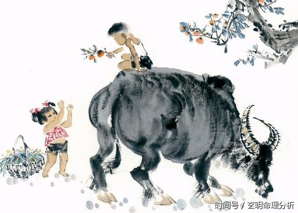 循规蹈矩是什么生肖