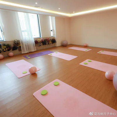 石家庄月子中心哪家好