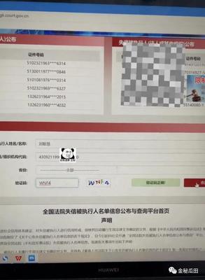 全国执行网信息查询
