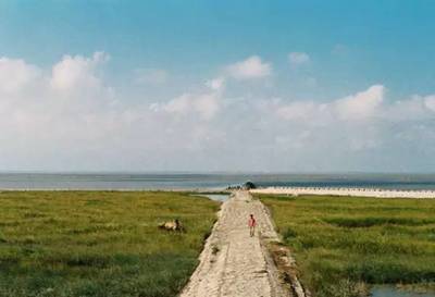 上海横沙岛