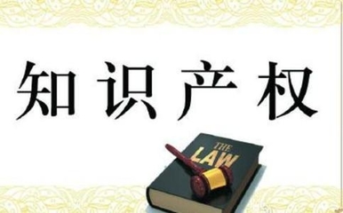 找法律