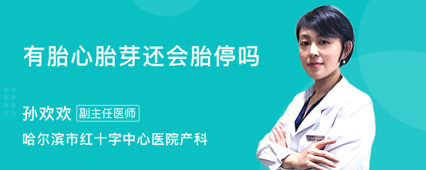 四个月会胎停吗