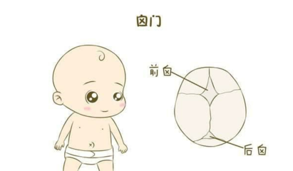 宝宝卤门在什么位置