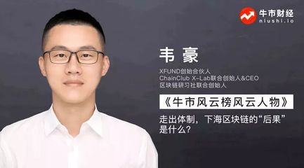 什么是CEO体制