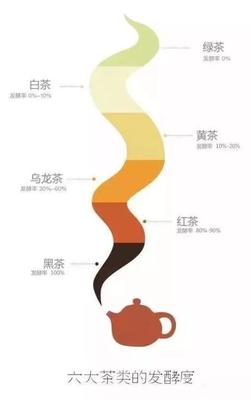 茶叶入门知识