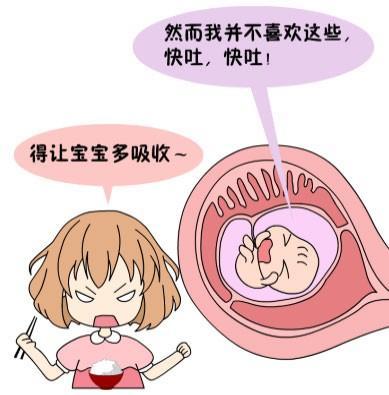 怀孕期间吐的厉害怎么办