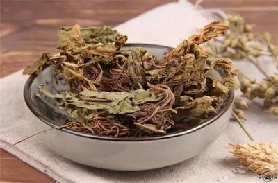 景天名字寓意