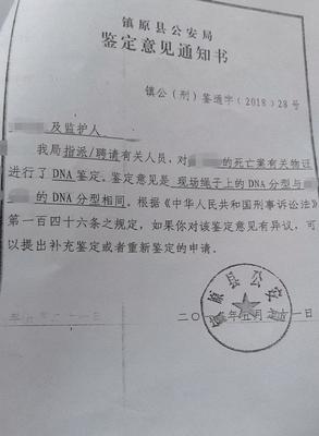 小学监护人意见怎么写