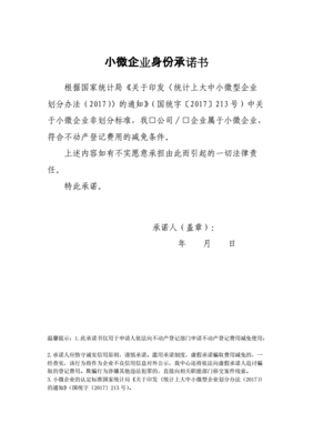 小微企业是什么
