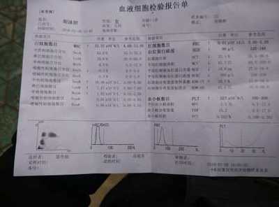 3个月婴儿白细胞正常值