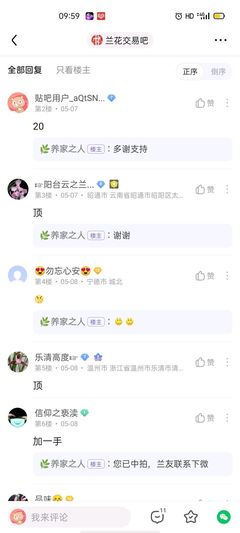 子宫前位几个月显怀