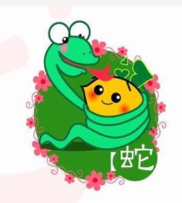 大龙和小龙属相配吗