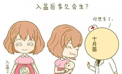怎么知道胎儿是否入盆