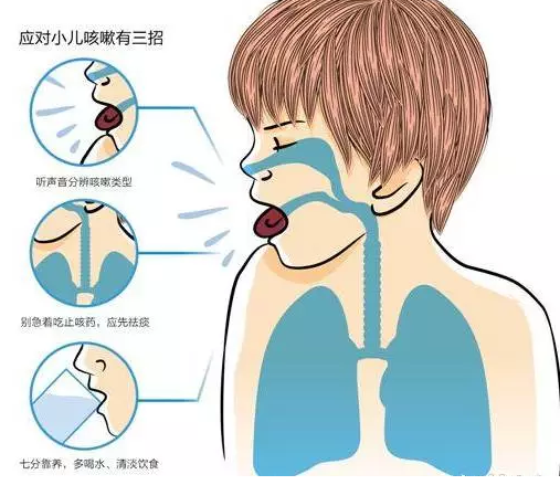 呼吸咳嗽是怎么回事
