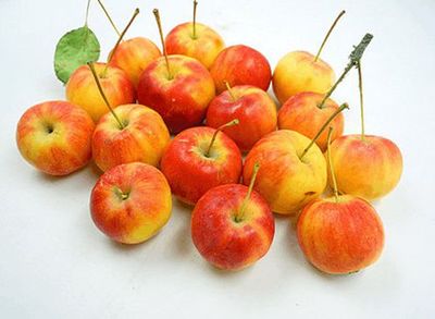 沙果孕妇能吃吗