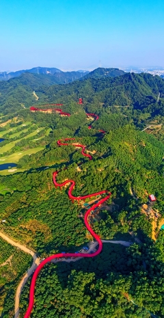 光明森林公园