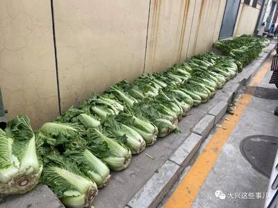 哪些蔬菜可以冬天储存