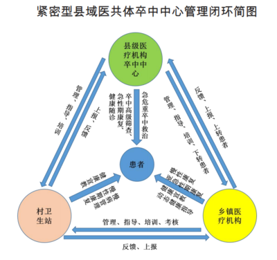 组织管理能力怎么写