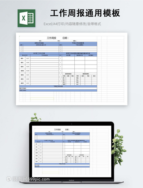 周报格式 模板