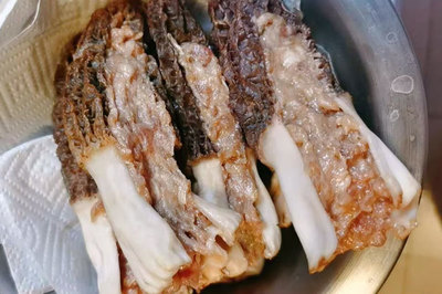 怀孕可以吃羊肚吗