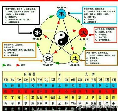 五行属金木水火土的字