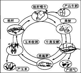 什么是自给农业和商品农业