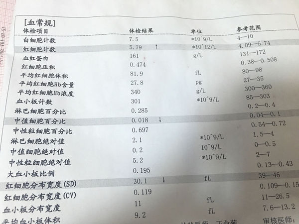 宝宝红细胞分布宽度偏低