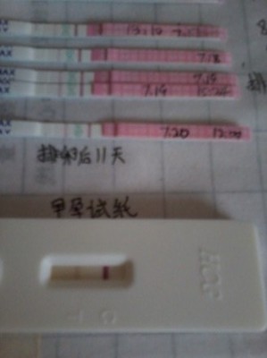 月经两个月