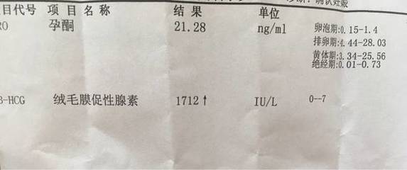 卵泡期 排卵期