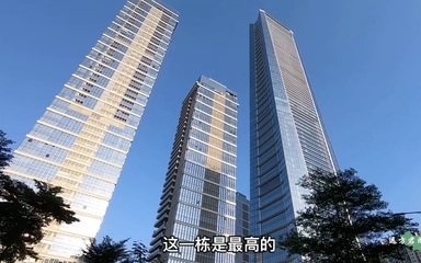 深圳最贵的房子在哪里