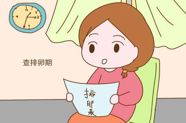 排卵期注意什么