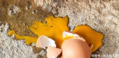 摔碎的鸡蛋怎么处理
