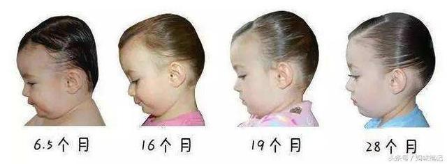19个月宝宝发育标准