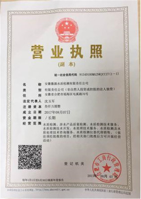 子公司营业执照图片