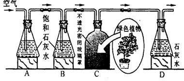 玻璃翠的功效
