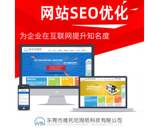 莞城区网站seo方案案例