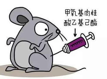 孕期可以用隔离霜吗