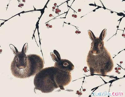 貂蝉属什么生肖
