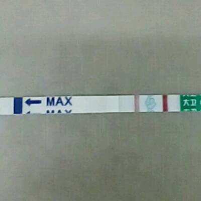 怀孕能吃石螺吗