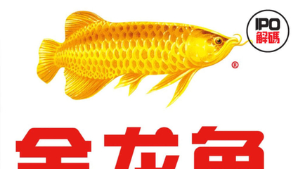 萬吉紅龍魚價(jià)格