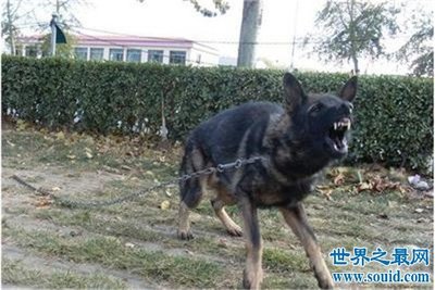 梦见自己一直流血