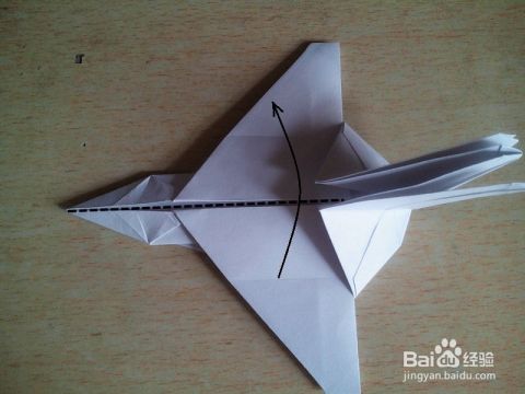 教你咋折纸飞机呢视频下载