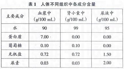 尿液含量多少是正常