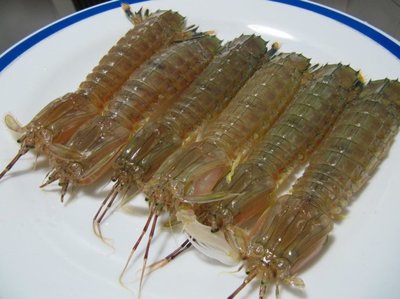 皮皮虾孕妇可以吃吗