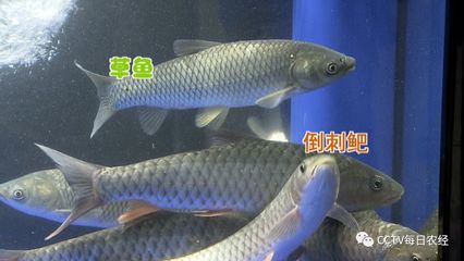 性格天生
