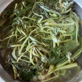腌雪菜的做法大全家常做法