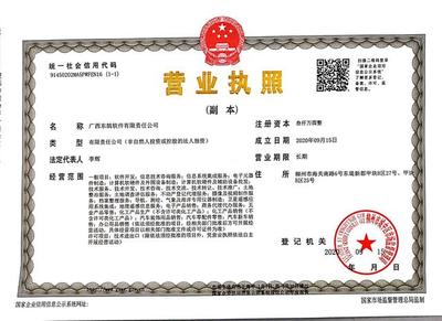 子公司营业执照图片