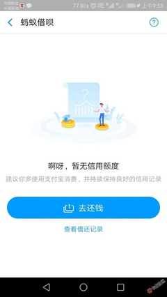 蚂蚁借呗暂无信用额度是什么意思