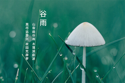 谷雨的寓意