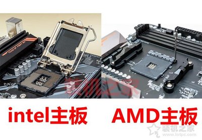 电脑主板与cpu的区别